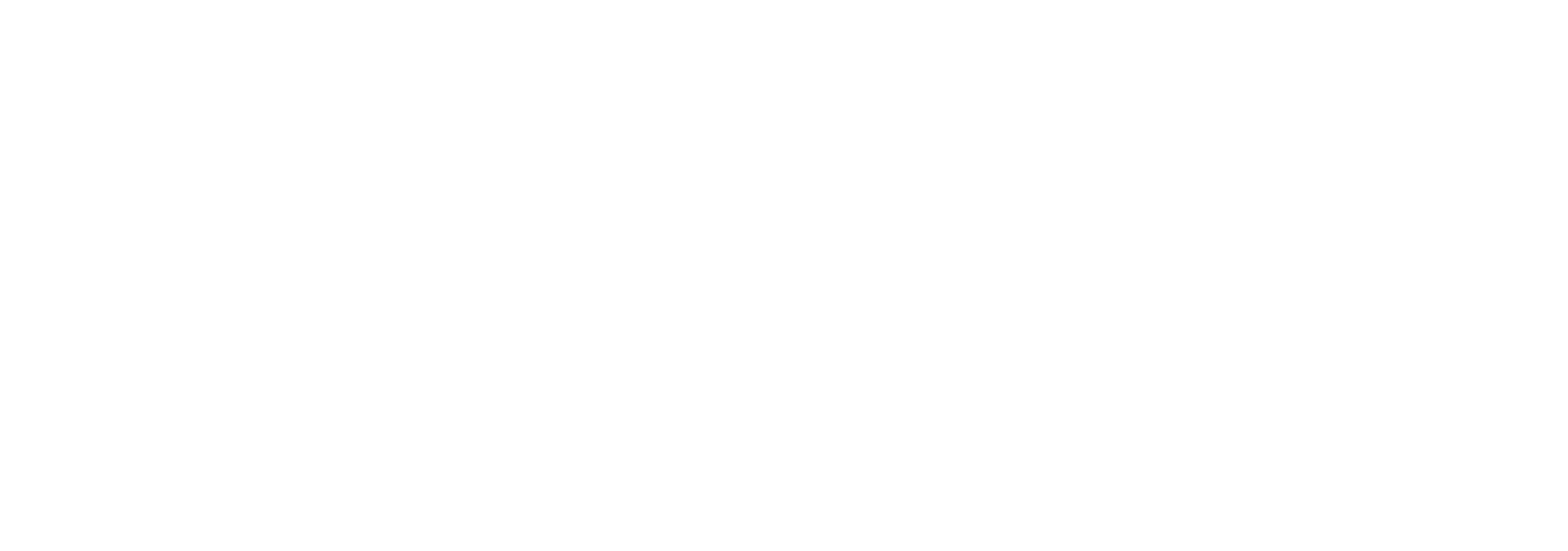 Logo Universidad de Desarrollo